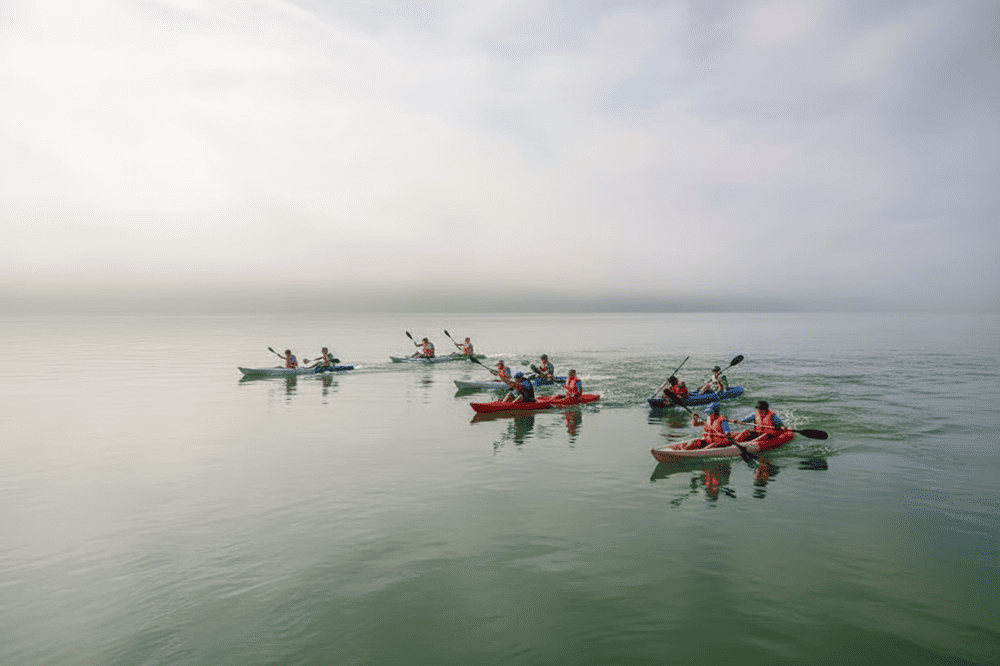 Kayakers glide peacefully through the still waters, surrounded by greenery
